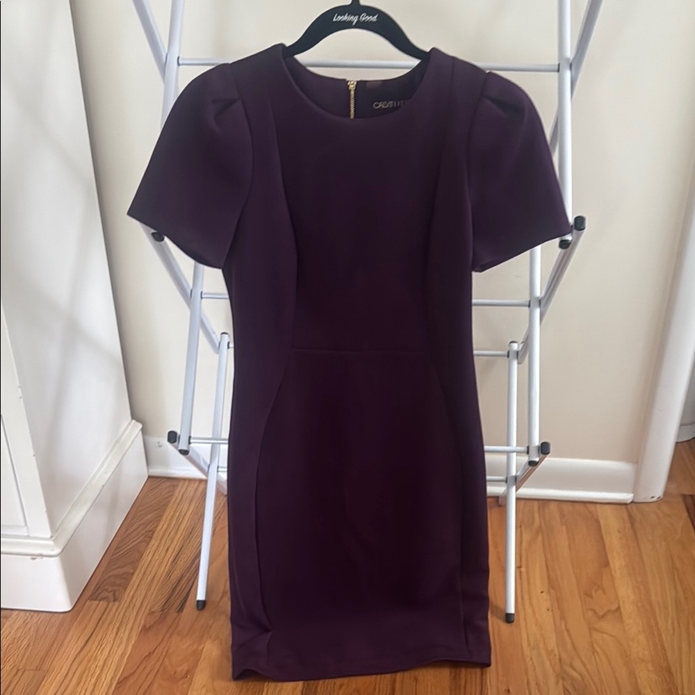 Calvin Klein Purple Sheath Dress with Puff Sleeves